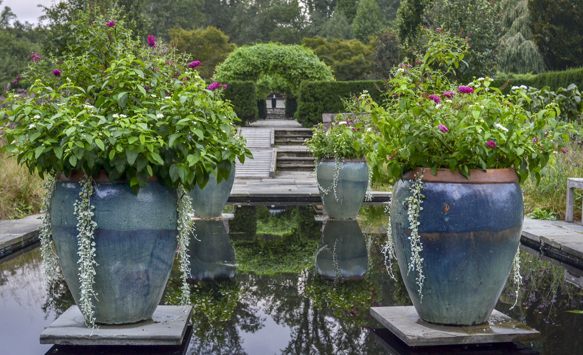 Oversized blue urns filled with flowering plants.
